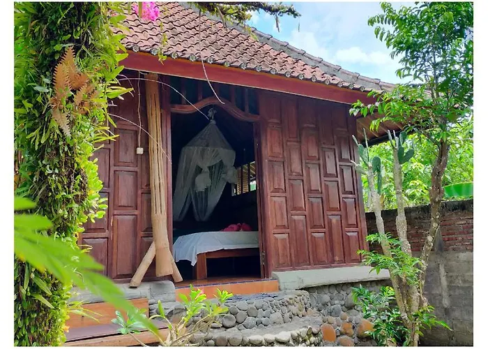 T.homestay